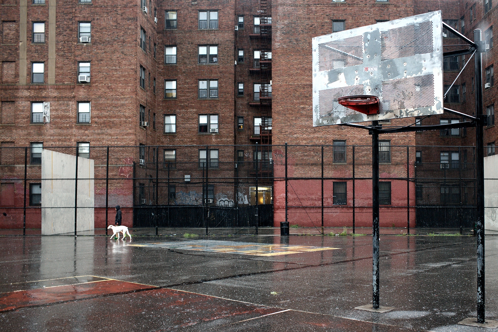 brooklyn-project-bball-court